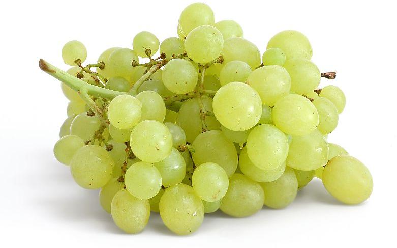 Common fresh grapes, Packaging Type : Plastic Box