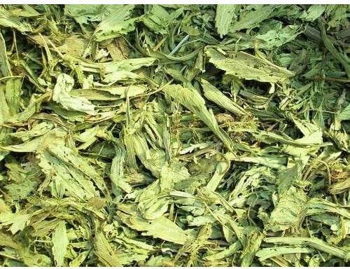 Herbal Extract-Stevie, for Food Additives, Style : Dried