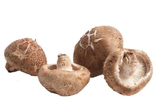 Organic Fresh Shiitake Mushroom, for Cooking, Style : Natural