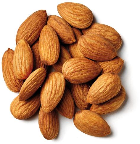 Hard Organic Almond Kernels, Shelf Life : 2years