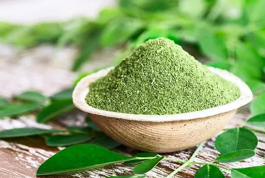 Natural ORGANIC Moringa Powder, for Medicines Products, Food, Packaging Type : Plastic Packet