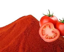Tomato powder, Shelf Life : 3Months