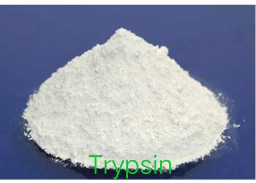 Trypsin Enzyme Powder