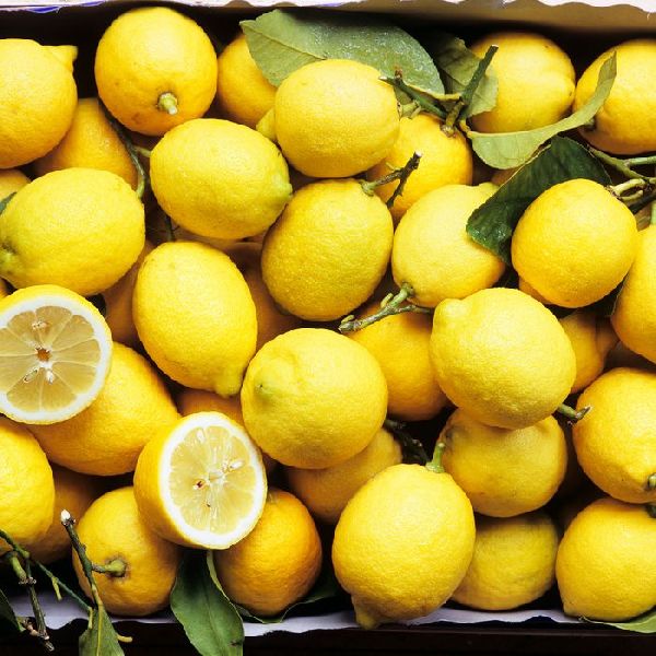 Fresh Lemon, Feature : Easy To Digest