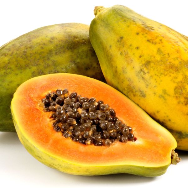 Fresh papaya, Feature : Healthy, Tasty