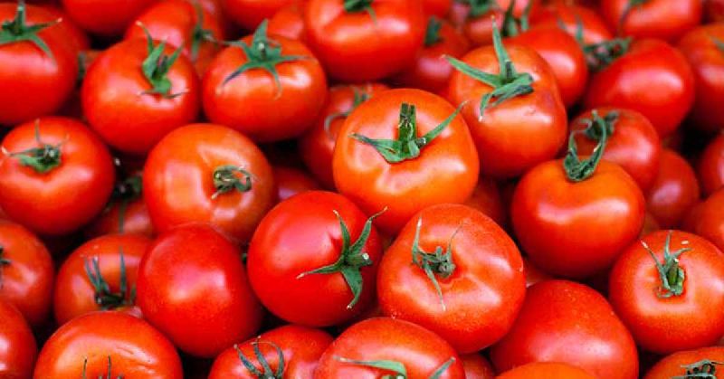 Fresh Tomato, for Cooking, Skin Products