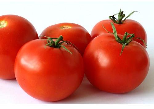 Organic fresh tomato, Packaging Type : Jute Bag, Net Bag, Plastic Crates