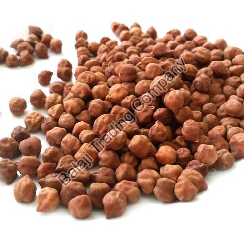 Black Chickpeas