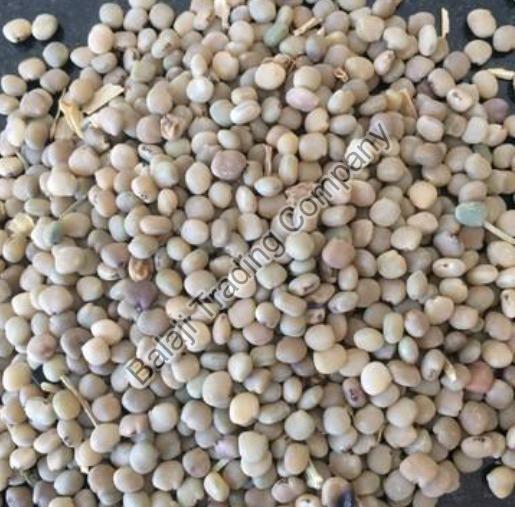Guar Seeds, for Oil Extraction, Packaging Type : Jute Bag