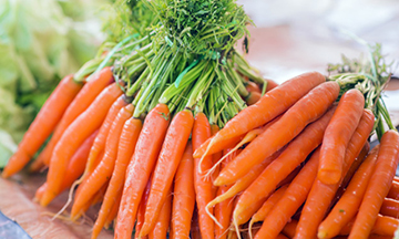 Organic Fresh Carrot, Packaging Type : Jute Sack, PP Bags