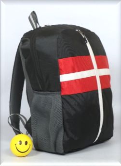 ABS Polyester College Backpack, for Office, School, Travel, Pattern : Printed