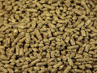 Lamb Creep Pellets