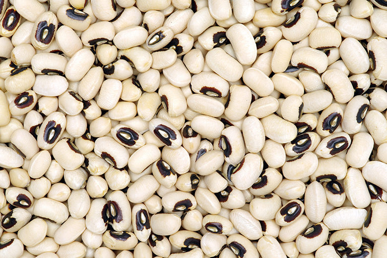 Natural Black Eyed Beans, for Cooking, Certification : FSSAI Certified