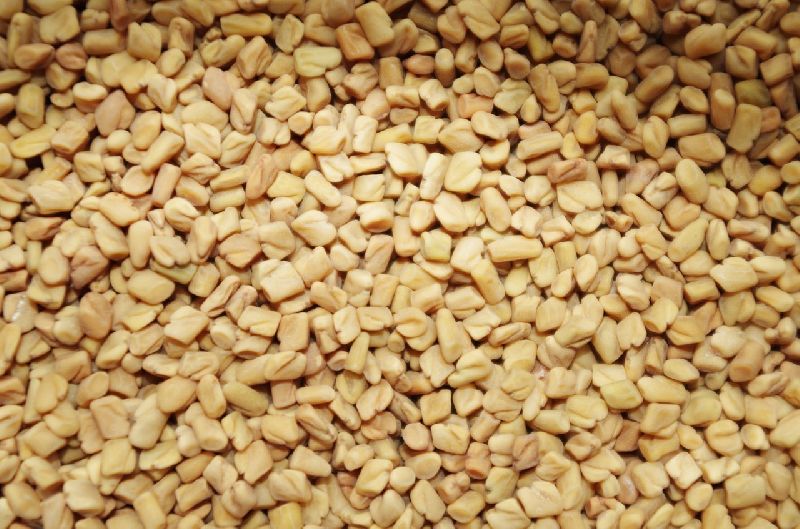 Fenugreek Seeds (Methi), for Cooking, Restaurants, Form : Solid
