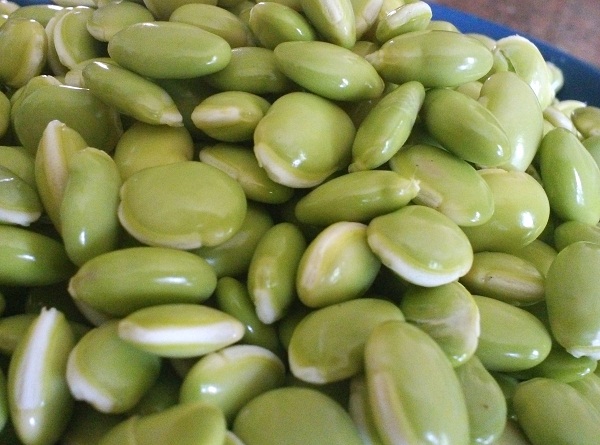 Field Beans (Broad Bean / Lima Bean / Vaal Dal)