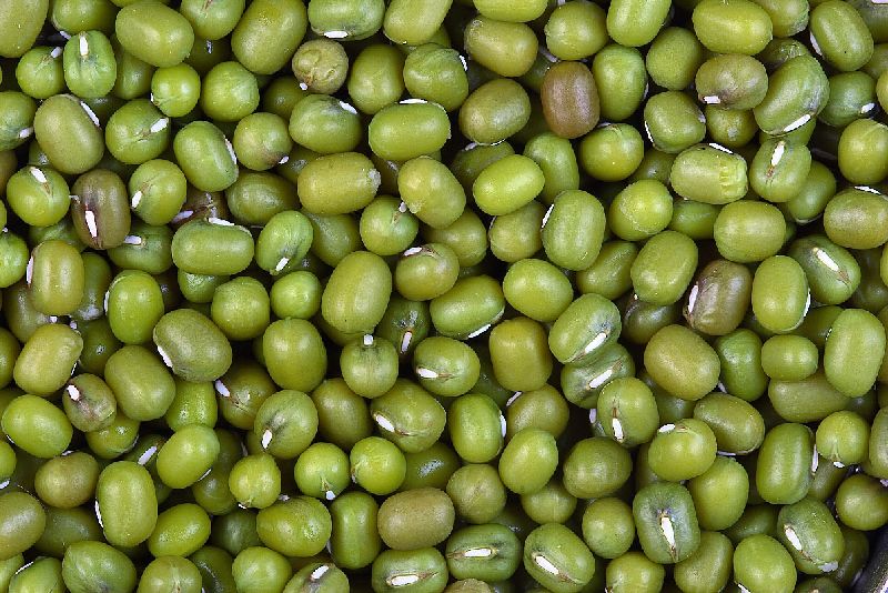 Green Grams (Moong / Mung Bean)
