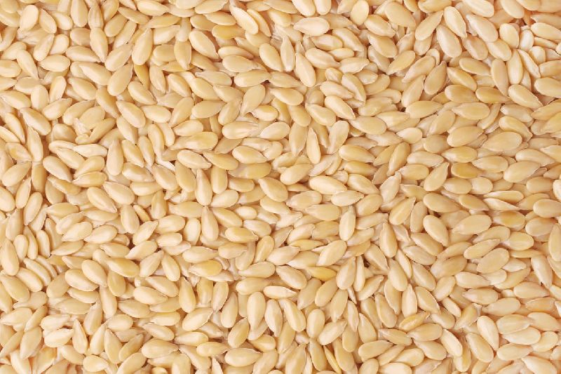 Sesame Seeds (Till), for Cooking, Restaurants, Form : Solid