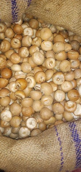 Assam Betel Nuts, Packaging Type : Bag