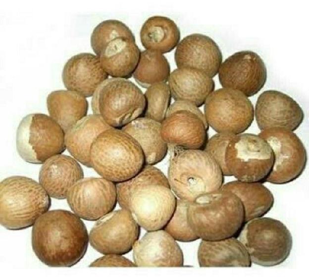 Round Common betel nut, for Food, Feature : Good Quality