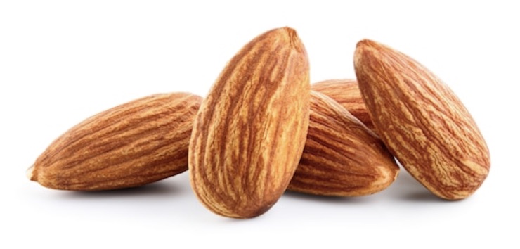 Almond by MOON AGRO FOODS, Almonds from Chennai Tamil Nadu India | ID - 5566325