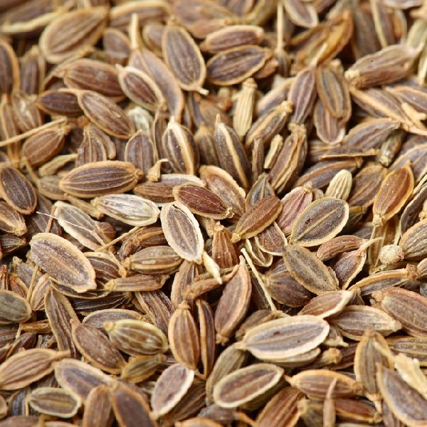 Dill Seeds, Certification : Halal