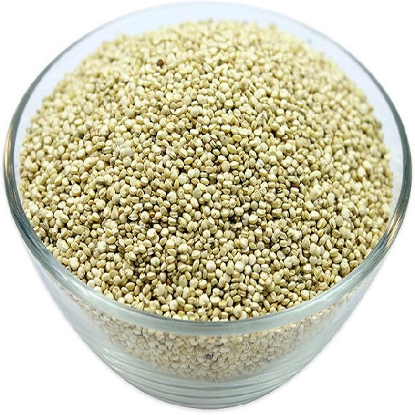 Organic Beans Quinoa Seeds, Purity : 100%