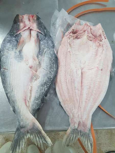 Fresh Vietnam Basa Fish