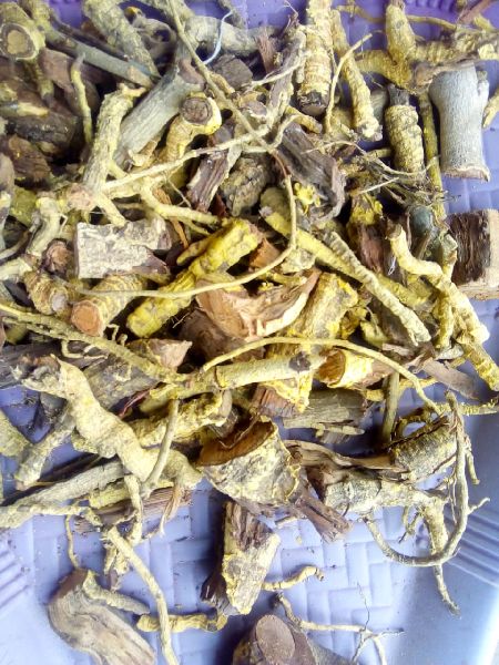 Common Salacia Reticulata Roots, for Clinical, Personal, Grade : Food Grade