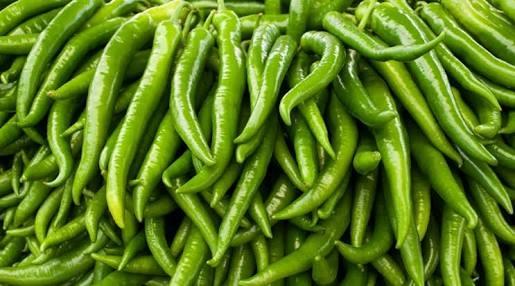 Natural Fresh Green Chilli, For Hygienic Packing, Optimum Freshness, Rich In Color