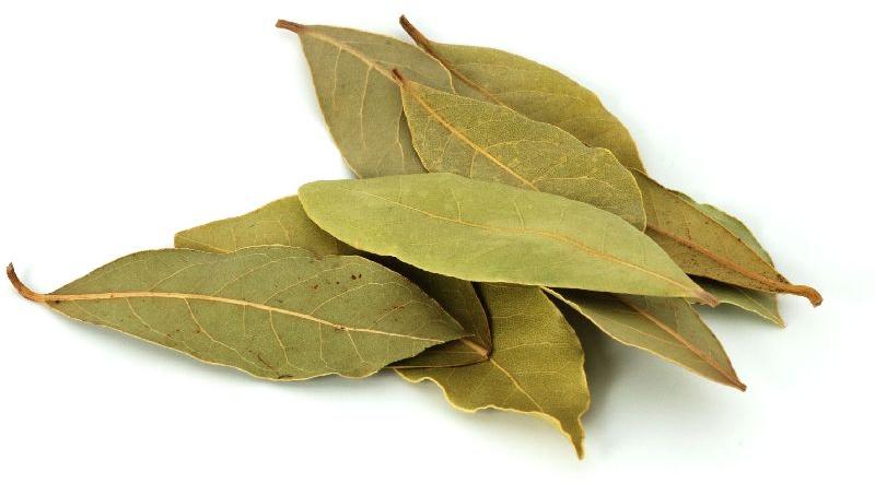 Dried Bay Leaves, Color : Green