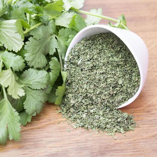 Dried Coriander Leaves, Color : Green