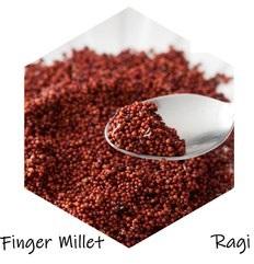 Organic Whole Ragi  Finger Millet / Kodo Millet / Eleusine coracana