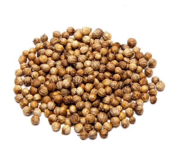 Coriander seeds, Packaging Type : 50 kg, 25 kg