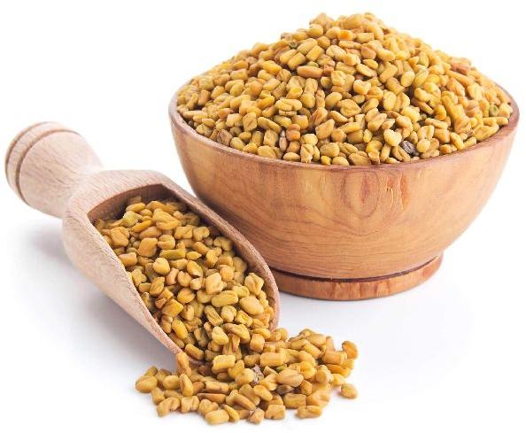 Fenugreek Seeds, Packaging Type : 50kg