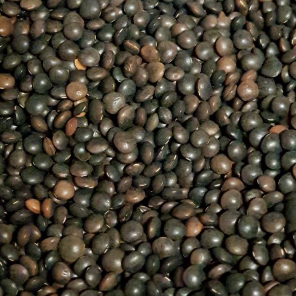 Black Lentils, Packaging Size : 25kg, 50kg