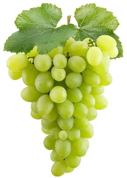 Organic Fresh Green Grapes, Packaging Type : Wooden Box