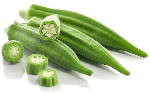 Organic Fresh Okra