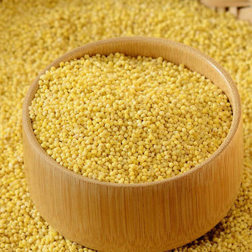 Fine Processed Yellow Millet Seeds, for Cattle Feed, Cooking, Feature : Natural Taste, Non Harmful