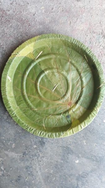 6 Inch Leaf Round Plate, For Serving Food, Feature : Eco Friendly, Light Weight, Unmatched Quality Fine Finish