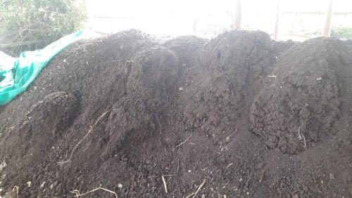 Cow Dung Manure