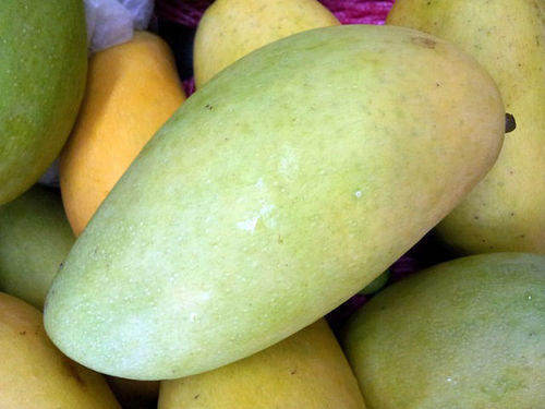 Fresh Langra Mango, Packaging Size : 50-100 kg