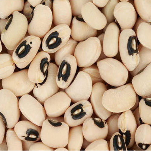 Organic Black Eyed Beans, Packaging Size : 25kg, 50kg