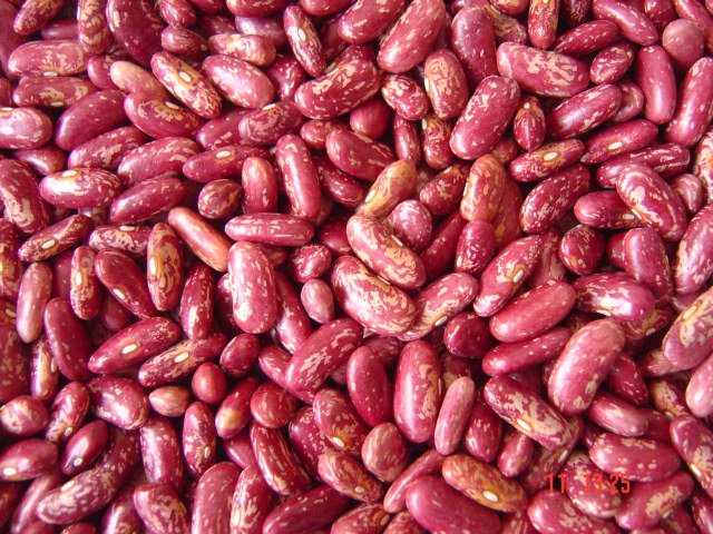 Organic Speckled Kidney Beans, for Cooking, Packaging Size : 10kg, 20kg