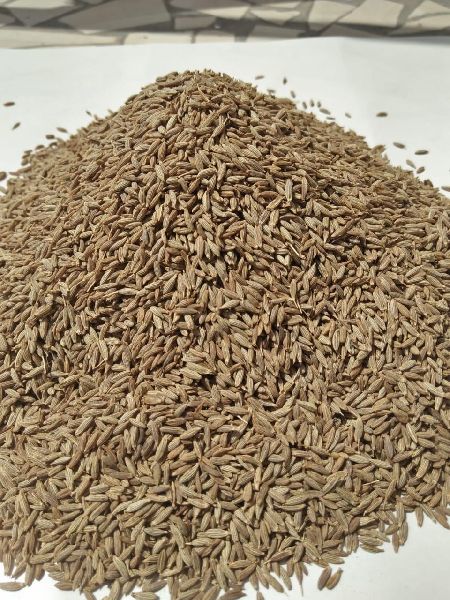 Cumin Seed, for Cooking, Certification : FSSAI Certified