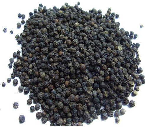 Black Pepper Seeds