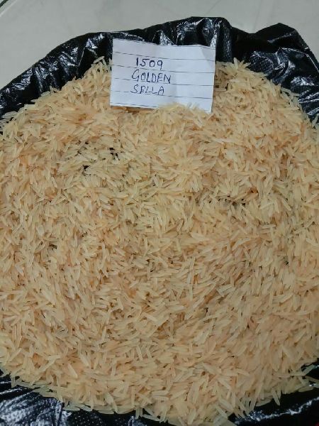 1509 Golden Sella Basmati Rice