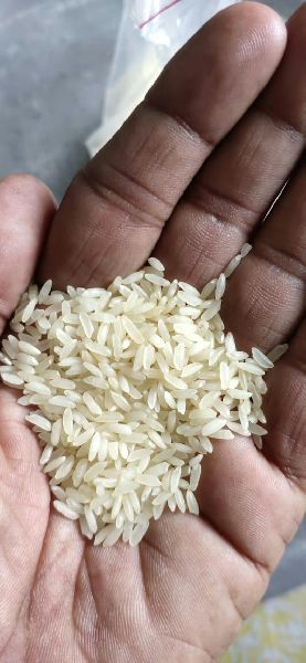 Common Sona Masoori Sella Rice, Packaging Size : 25kg, 50kg