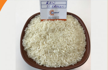 Common Raw broken Rice, Style : Fresh