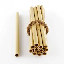 Bamboo Straw