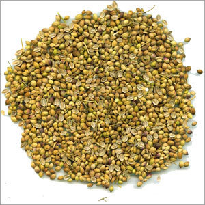 Organic Split Coriander Seeds, for Agriculture, Cooking, Food